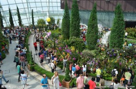 新加坡滨海植物园