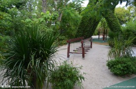 新加坡滨海植物园