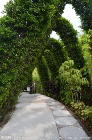 新加坡滨海空中花园