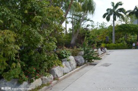 新加坡滨海空中花园