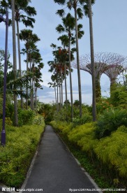 新加坡滨海空中花园