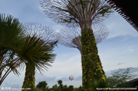 新加坡滨海空中花园