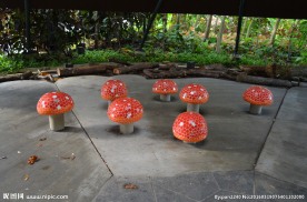 新加坡滨海植物园