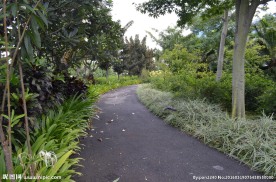 新加坡滨海空中花园