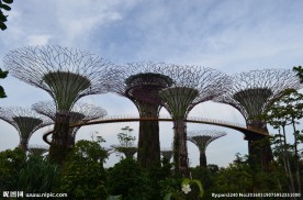 新加坡滨海空中花园