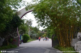 新加坡滨海空中花园