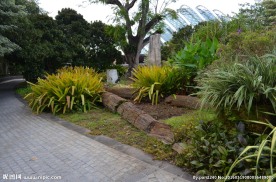 新加坡滨海空中花园