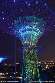 新加坡夜景