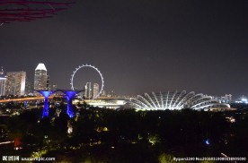 新加坡夜景
