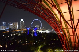 新加坡夜景