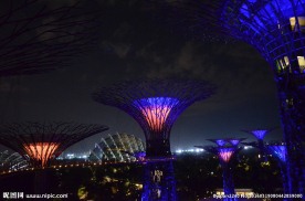 新加坡夜景