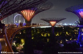 新加坡夜景