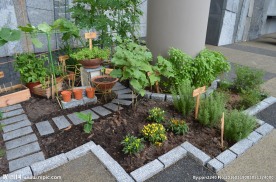 新加坡滨海植物园