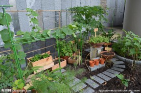 新加坡滨海空中花园