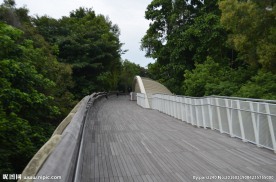 新加坡滨海空中花园