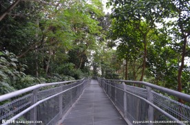 新加坡滨海空中花园