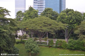 新加坡风光