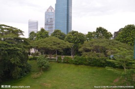 新加坡风光