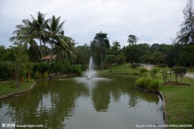 新加坡滨海空中花园