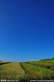 草原天空