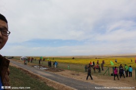 青海湖油菜花