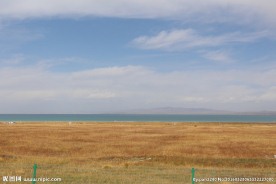 青海湖草原