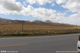 青海湖环湖公路