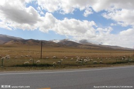 青海环湖公路风光