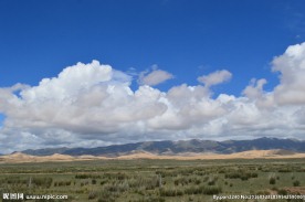 青海草原风光