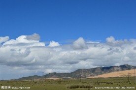 青海草原风光