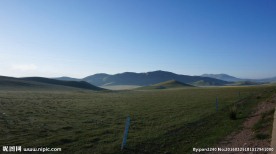 青海草原风光