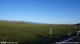 青海草原风光
