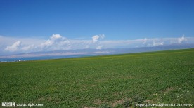 青海草原风光