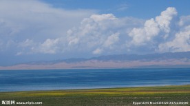 青海湖风光