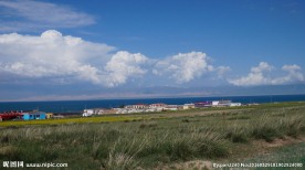 青海草原风光