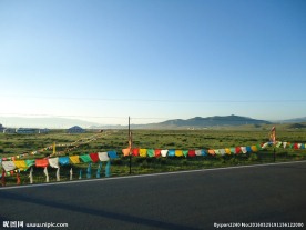 青海草原风光