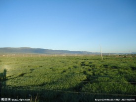 青海草原风光