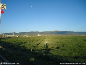 青海草原风光