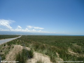 青海草原风光