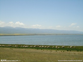 青海湖