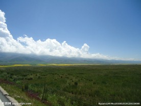 青海草原风光