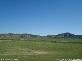 青海草原风光
