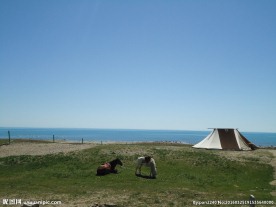 青海草原风光