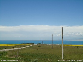 青海草原风光