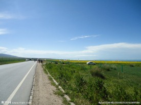 青海环湖公路风光