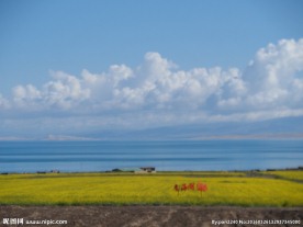 青海湖