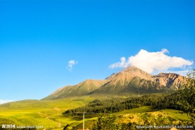 青海高山