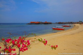 马来西亚海景