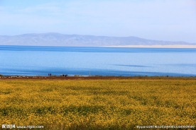 青海湖