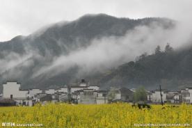 婺源风光